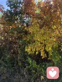 對認知的認知，對感受的感受是產生問題的原因。配圖