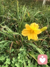 每個生命都值得被溫柔對待。配圖