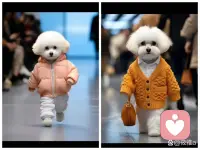 一切隨緣啊配圖