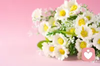 茫茫人海，相遇就是緣，等待有緣人配圖