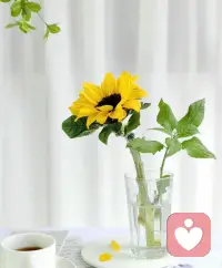 爱就像阳关和水一样，是每一个生命所需要。配图