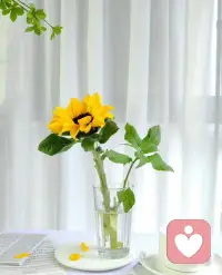 这世界没有比全身心的倾听更让人觉得温情了配图