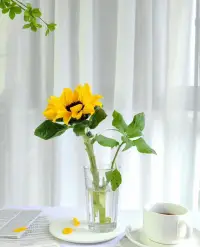 認清自己很重要、我們這輩子能把生自己的和自己的生的照顧好，就要花費大部分經歷了。人這一生高欲望，低能力，都是我們想要的太多。選擇和我自己和解，接受每一個時期的自己，不用別人眼光評價現在的自己，不用現在眼光去看過去的自己，不以物喜 不以己悲，與自己萬事萬物和解。配圖