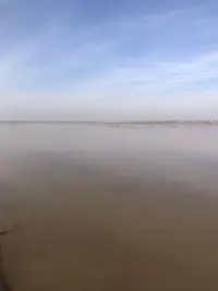 “我們的馴鹿，在夏天走在露珠上，在秋天踏月而行，在冬天留步在雪花中，在春天則漫步在鮮花間。看著它們在山間林中輕盈穿梭，我們鄂溫克人知道，什么都不用怕，只需要好好地活著。
人生無非是：抬頭觀星，低頭觀心。盡情地快樂，盡情地做夢。
我想你知道，人生不僅有車子房子，美女金錢，真的有精神的家園，美好而澄凈。若是同路人，歡迎來騷擾！哈哈哈配圖