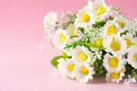 愿你的生活永遠可以擁有陽光、鮮花和音樂配圖