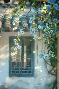 我等的人是你嗎？配圖