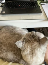 萬物有靈！貓貓狗狗是伴侶動物，對寵物們好一點。
對周圍的朋友更要好一點！:)配圖