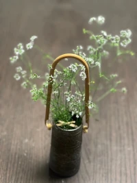 所有成就都需要時間與耐性……配圖