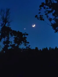 金星伴月，愿你在夏天遇到屬于自己的美好配圖