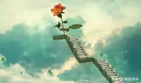 【意義】
很多人都迷茫，自己正在做的事情是否有意義。那么我認為，你應該去體會這件事情帶給自己內心最深的感受。是像棵樹一般，腳踏實地，而又持續性獲得生長，能夠給予自己內心寧靜、喜悅與自足，而不是一種不安、空虛而焦灼的狀態。思考這件事情能否給自己帶來幫助，亦或者也同時對他人產生幫助。不管這種幫助是有形層面還是無形層面。配圖