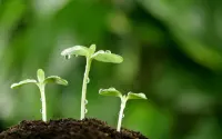 【成長】
經常聽到網絡上有人說:“隨著年齡的增長，終將變成自己曾經最討厭的那種人”。不排除有這種現象，但是網絡上那些不明所以的熱門句子熱衷給人洗腦，事實上毫無價值。真正的價值需要自己去踐行，得到內心確認，而不是人云亦云，不作思辨。人可以成為自己想要成為的那種人，但要付出努力及有堅定的意志。配圖