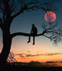 如何找到一個自己很愛很合適的人呢？還是順其自然的等？其實很愛很合適，這很難找，一般都是順其自然來的。干等也不是解決問題的方式，所有的果都需要有因。不如先散播些種子，比如心懷感激與善意的對待周遭的一切。也許好的事情就會自然來發生。配圖