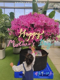 谢谢你赋予我这个有意义的身份，感谢你对我的爱和包容，妈妈爱自由的你，我们俩一起长大～配图