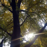 相由心生，境隨心轉(zhuǎn)。
這句大智慧可不可以這樣直白的理解“心和觀念決定著你所造就的面貌和所處環(huán)境”配圖