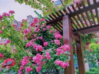 放下情緒，減負前行配圖