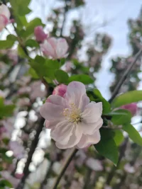 一生幾許心魔？不過是生命中的浪花一朵～配圖