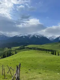 向上的日子雖然不易，感嘆自己已經(jīng)在路上。內(nèi)在的動(dòng)力才能驅(qū)使一個(gè)人不停地向上，走向內(nèi)心的世界，慢慢前行，不強(qiáng)迫不要求，每走一步都是深深的沉淀。人的生命只有一次，體驗(yàn)每走一步的感受。愿回首往事，過往的煙火流年是滿滿的溫暖！配圖