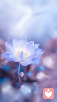 還是被這段話療愈到了：
      不要后悔對任何一個人好，哪怕是看錯人，哪怕是被辜負，哪怕是撞南墻，因為你對他好，不一定代表他有多好，只是因為你自己很好。
      愛了就不要猜疑，散了就不要詆毀，所有的一切，只不過是在為自己的選擇買單。有心者無所累，無心者無所謂。情出自愿，事過無悔，不負遇見，不談虧欠。回頭看看讓自己苦不堪言的糾結和焦慮，其實，都只不過是自己跟自己的較勁。配圖