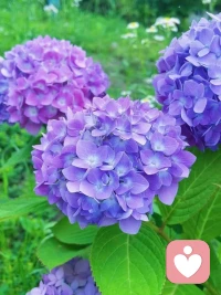 許多事情不需要有意義，吃喝玩樂不代表虛度光陰，吃苦耐勞不代表意義非凡，當你焦慮內耗時，請一定記得，人生只是各種體驗的疊加，只要你想你就可以去做，那些無意義的事，不要覺得這是在浪費時間，你能在浪費時間中獲得樂趣，就不是浪費時間，記住你當下的體驗就是最大的意義。配圖