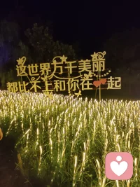 無所求，必滿載而歸，
降低期待和減小內(nèi)在欲望[愛心]。

允許讓所有的事情如期的發(fā)生，
反而會得到比想像中更好的結果。配圖