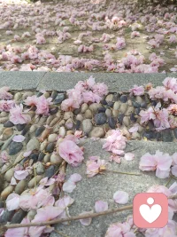 真正的自我價值感是你能接納自己多少！配圖