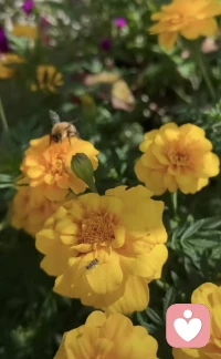 作為女性，養(yǎng)育孩子很辛苦，做家務、上班很辛苦，但這不意味著你給你的丈夫提供了情緒價值。反過來也是一樣，如果你是一位男性，或許你在外打拼很難，承受了很大的壓力，但這也不意味著你就不需要再向你的妻子提供情緒價值。

我們想要對方給予情緒價值，最好通過溝通去爭取，而不是被動地等待，或者帶著受害者的心態(tài)指責對方。配圖