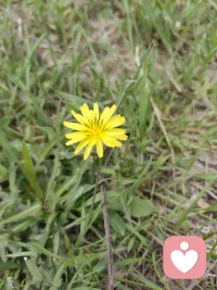 總有一天，
回憶往事，
你發現掙扎奮斗的日子是最美的配圖