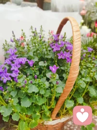 很多家庭最大的問題是，成員之間缺乏有效溝通，大多數(shù)夫妻不是在試著解決問題，而是在爭誰對誰錯，誰該服從誰。配圖