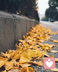 人一生的能量和生命力如果傾注在一件事情上，是熱愛、發展和成就；
如果傾注在一個人身上，便是壓抑、捆綁和纏結。窮其一生，找一件事，而不是鎖定一個人。配圖