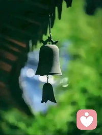 我不需要完美，我只需要比昨天好一點點就夠了，就這樣我就可以綻放在這個世界上。配圖