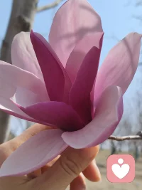 人是不會改變的，
所謂成長，不是改變，
而是增加策略，打通更多的通路配圖