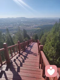 運動改變大腦結構
培養孩子的意志品質
周末，爬山走起配圖