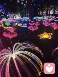 我們要到哪里去找完美的愛人呢？
我想婚姻考驗的可能不是我們尋找一個完美男人的能力，更多的是考驗我們接納一個不完美男人的能力。配圖