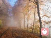 想要孩子擺脫玻璃心，經常說這三句話
只需要經常對他說三句話
1；媽媽看到你已經很努力了，不過暫時沒有成功，這很正常
你能承受多大的失敗，未來就能取得多大的成功，要學會享受過程，不要害怕別人嘲笑你。
失敗不可怕，害怕失敗才可怕。
2；即使你做得再好，也不可能讓所有人都喜歡你，不要迎合別人，委屈自己
3；要管理好自己的情緒，除了自己父母，沒有人會包容你的壞脾氣和不好的習慣，
當你的壞脾氣和壞習慣發泄再別人身上，只會讓別人遠離你[贊][贊][贊]配圖