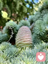 最好的教育
是用一盏灯点亮许多盏灯！
是用一个灵魂影响许多个灵魂！
是一个生命影响许多个生命！
是让每个孩子感受到爱及其温暖！
​
​遇到一位好老师
​是孩子一生的幸运！配图