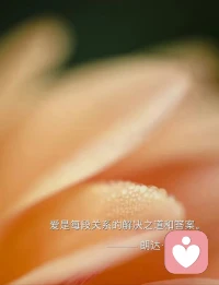 大风可以吹走一张纸
却吹不走一只蝴蝶🦋
因为生命的力量是不顺从。配图