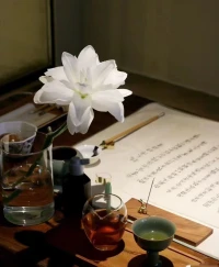 吵架吵的都是情緒，不好的感情是因為都在講道理！
吵架對方只是想要爭取一些營養~更多被對方看見，關注和理解，如果對方不理解，繼續講道理。這時會陷入關系中自我危機認為：對方不愛我，我不重要。這時但凡有一個人出來擁抱對方，不需要講什么，就會恢復彈性。吵架時不需要講道理，道理是具有破壞性的東西。配圖