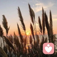 肩膀不是用來承載負擔的，
肩膀是用來飛翔的。
接受生活中的苦澀與甜美，
調和出屬于自己的滋味。
酸甜苦樂都是配菜！
生命在于平衡配圖