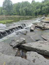 感受下河邊的冥想，yyds配圖