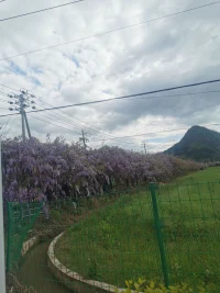 成年人的孤獨
洗了個澡，換了身衣服，出了門卻不知道去哪兒，不知道去找誰，漫無目的的走著，大概這就是成年人最深的孤獨吧!

《百年孤獨》里說過:人生的本質(zhì)就是一個人
活著，不要對別人心存太多期待，成年人的孤獨 讀 書 
就是悲喜自渡。 
舊人不知我近況，新人不知我過往。
近況不該舊人知，過往不與新人講…配圖