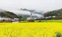 终有一天你会静下心来，像个局外人一样，回首自己的故事，然后笑着摇摇头，浮生不过梦一场，所以能够治愈你的，从来都不是时间，而是内心的那份释怀和明白。