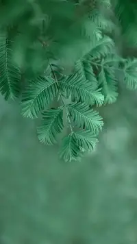 人生是用來體驗的，
接受出錯，
接受平庸和遲鈍，
允許自己偶爾斷電…
有贅肉算什么，
身體健康，
情緒健康，
你就勝過了所有~配圖