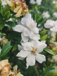 拯救每一個痛苦的靈魂配圖