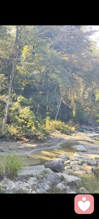 结婚是为了幸福，不结婚也是，离婚也是。努力不是为了鹤立鸡群，而是为了离开鸡群。    阿德勒 （Adele ）