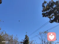 🧩 脑腐化到底“腐”的是什么？
🔹 腐化的不是记忆力，是“构建力”
你还能记住词，但很难说出句子；
你知道很多观点，但说不出自己的逻辑。
信息都在，但它们不再彼此连接，
你也就失去了让信息变成知识的能力。
 
🧩 这不是信息不足，而是思维结构断裂。
 
🔹 腐化的是判断力
大脑里装了太多别人的声音，
你开始变得不太确定自己该信哪个。
 
于是你倾向于看点赞、看热搜、看哪句话更“像被赞同过”。
你失去的，不是“信息”，而是——
对自己判断过程的信任。