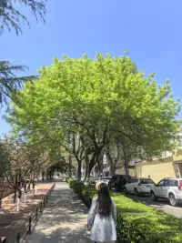 功能良好的心理结构，最重要的来源是父母的人格，
特别是没有敌意的坚决和不含诱惑的深情去回应孩子驱力需求的能力配图