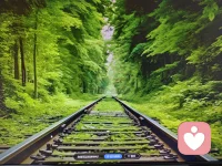 走過(guò)的路，才知道有短有長(zhǎng)
經(jīng)過(guò)的事，才知道有喜有傷
品過(guò)的味，才知道有澀有涼
聽(tīng)過(guò)的歌，才知道有苦有淚配圖