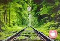 所有身體的疾病患者，90%的疾病來源情緒，心情不好吃啥都是毒藥，心情好吃什么都是養分。配圖