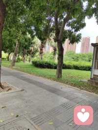 正能量既是一種心態，，也是一種狀態，更是一種人對生活、人生、事態的積極看法和主動選擇。配圖