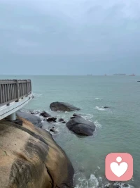 我一直在尋找
到底什么是好的教育？
到底什么是好的學校？
到底什么是好的老師？
原來
父母就是孩子最好的老師！
家庭就是孩子最好的課堂！

父母、家庭的氛圍變化了，
孩子自然出息、茁壯生長。配圖